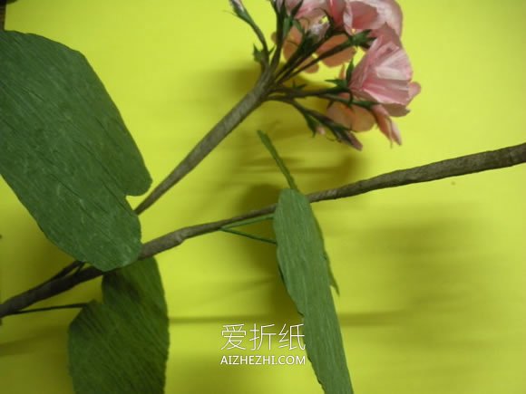 怎么做皱纹纸天竺葵的手工制作方法图解- www.aizhezhi.com